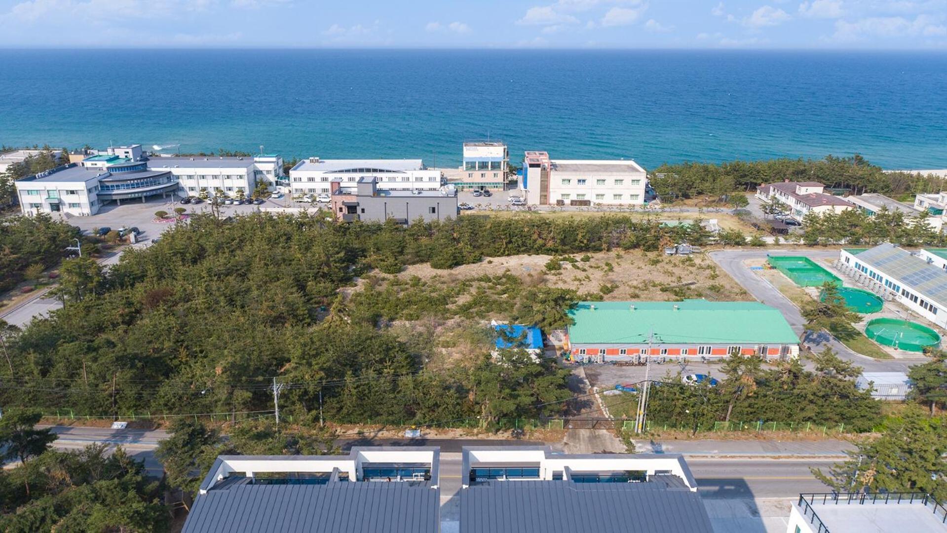 Gangneung Joeungot Poolvilla Exteriör bild